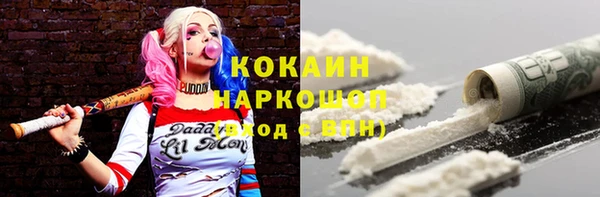 ГАЛЛЮЦИНОГЕННЫЕ ГРИБЫ Инсар