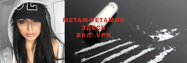 ГАЛЛЮЦИНОГЕННЫЕ ГРИБЫ Инсар