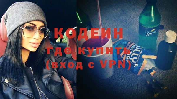 ГАЛЛЮЦИНОГЕННЫЕ ГРИБЫ Инсар
