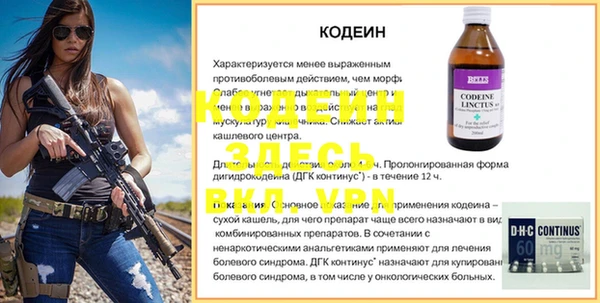 ГАЛЛЮЦИНОГЕННЫЕ ГРИБЫ Инсар