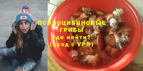 дмт Саяногорск