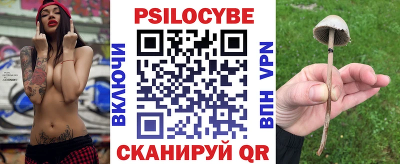 Псилоцибиновые грибы GOLDEN TEACHER  Искитим 