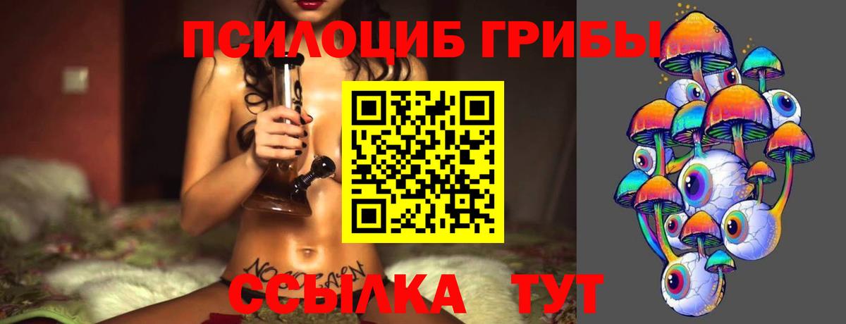 Искитим  Псилоцибиновые грибы Magic Shrooms  Вход с VPN 