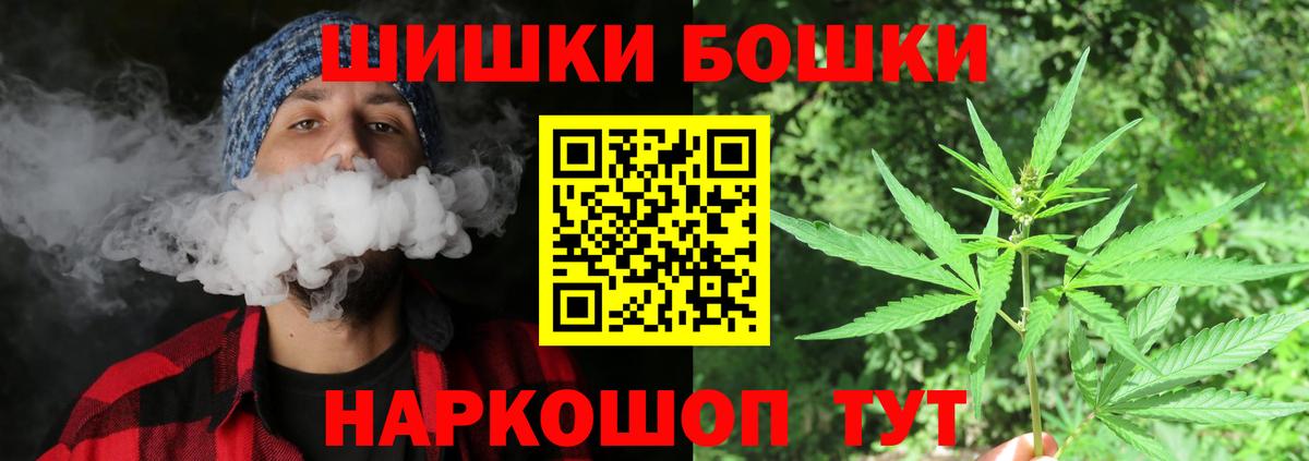 Конопля сатива Искитим